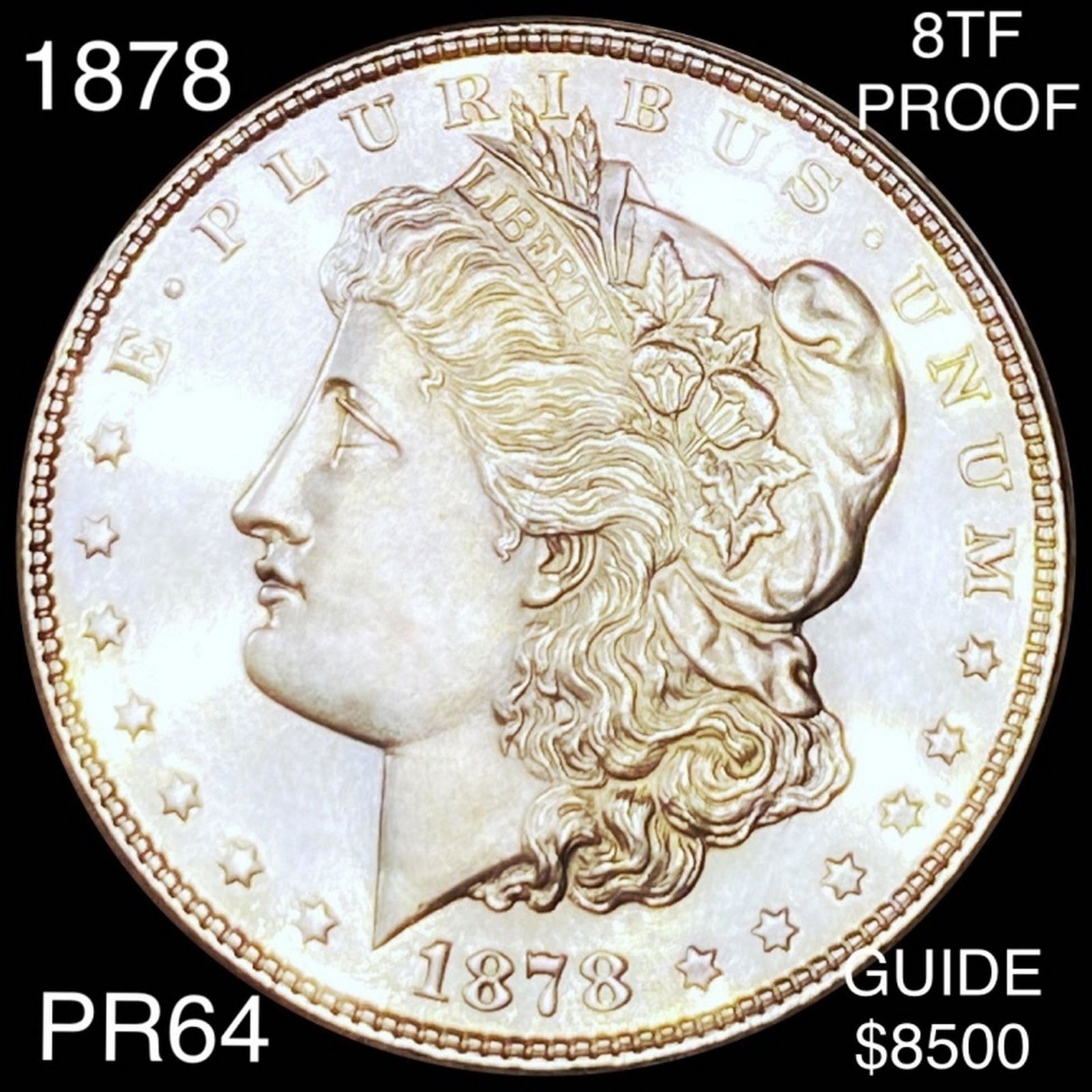 1878 8TF Morgan Silver Dollar CHOICE PROOF (1 of 2)