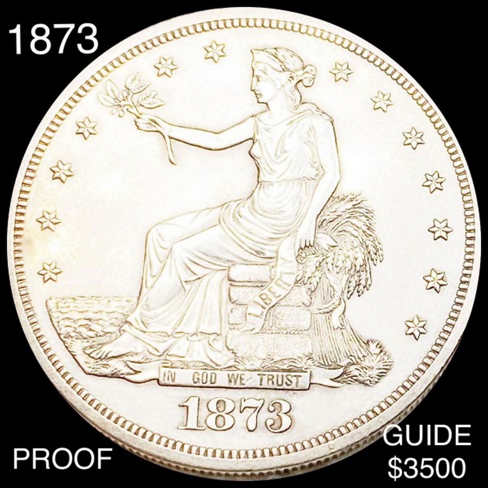 1873 Silver Trade Dollar CHOICE PROOF (1 of 2)
