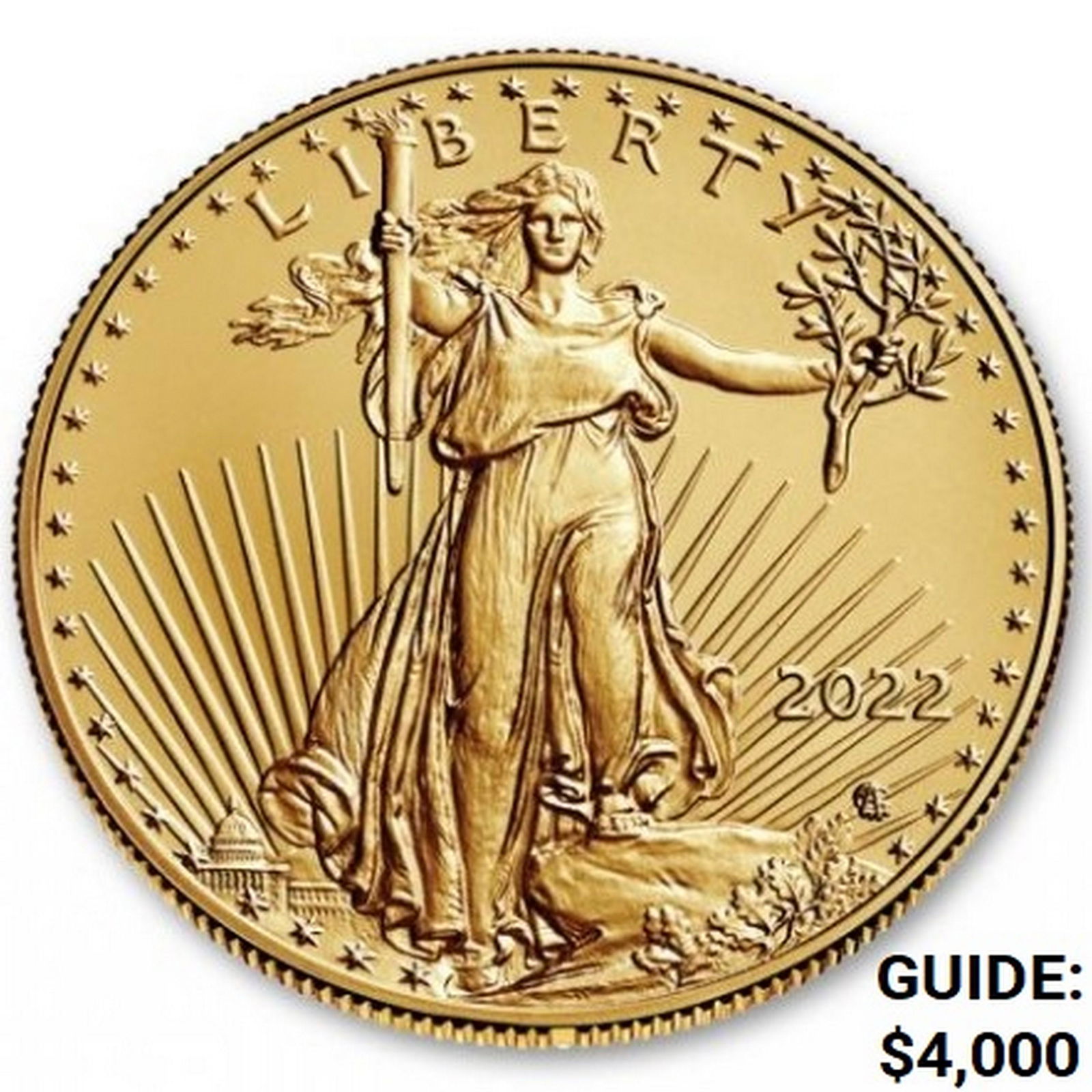 2022 American Gold Eagle 1oz Liberty GEM BU (1 of 2)