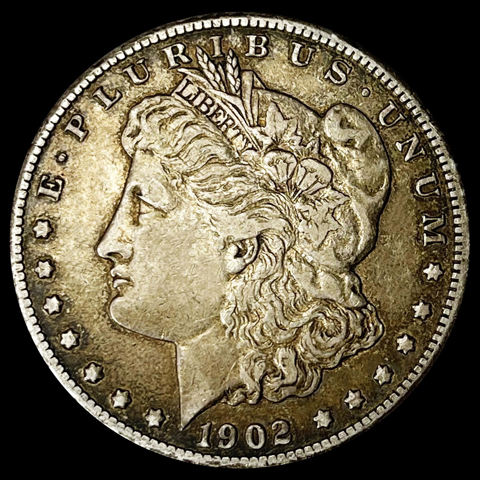 1902 Morgan Silver Dollar NEARLY UNCIRCULATED (1 of 2)