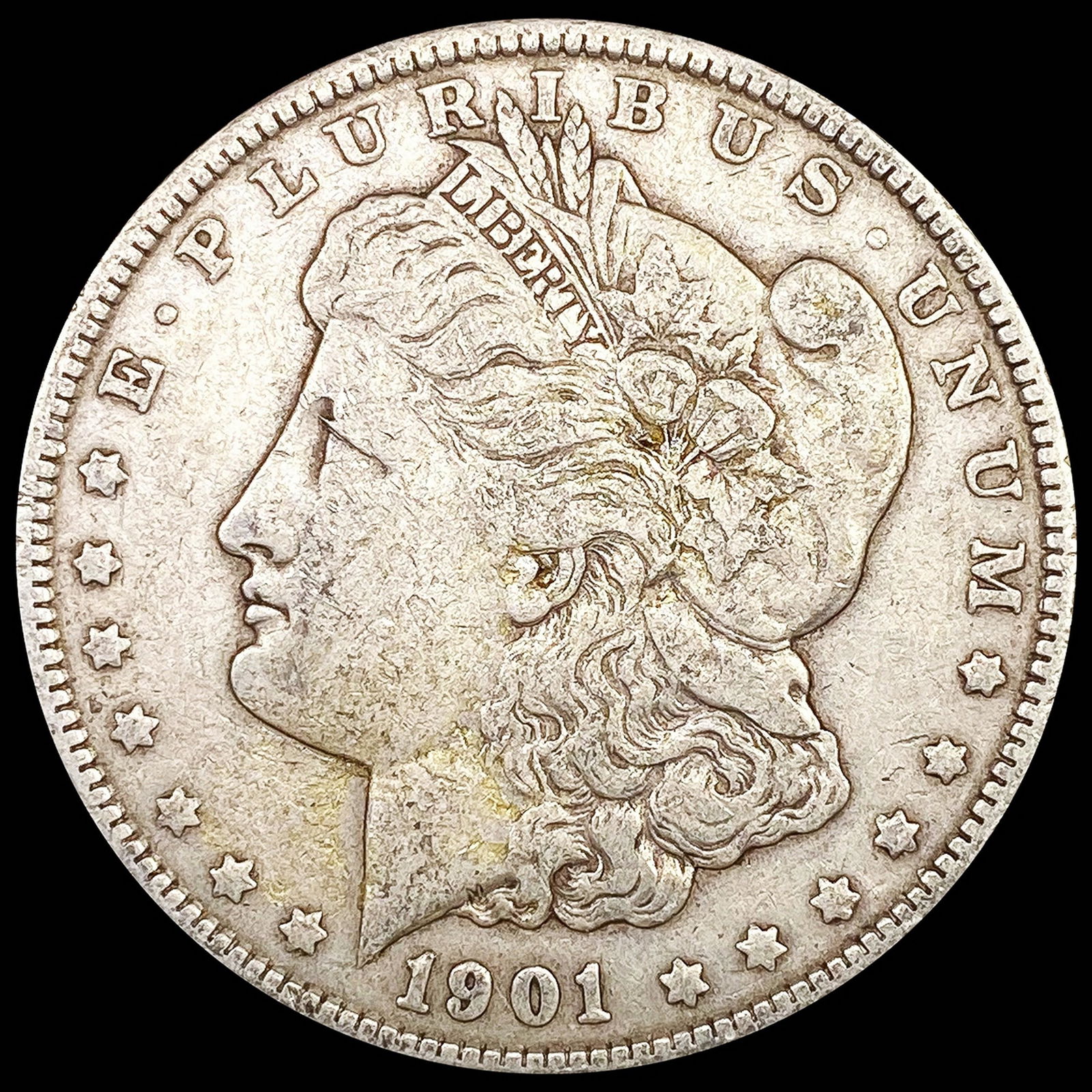 1901 Morgan Silver Dollar LIGHTLY CIRCULATED (1 of 2)