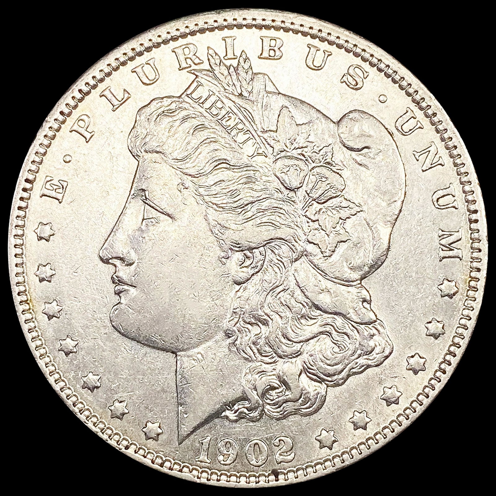 1902 Morgan Silver Dollar CLOSELY UNCIRCULATED (1 of 2)