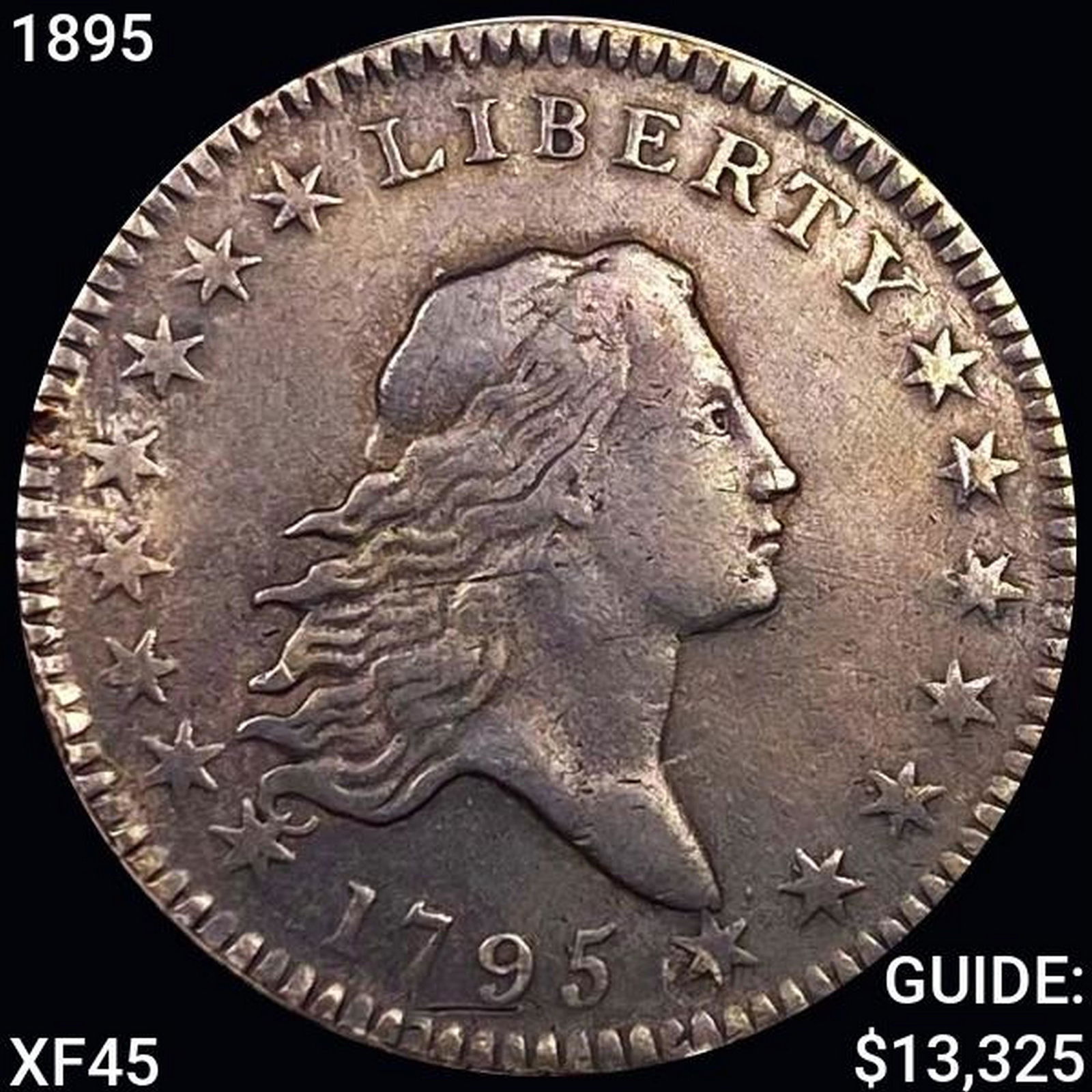 1895 Flowing Hair Half Dollar LIGHTLY CIRC (1 of 2)