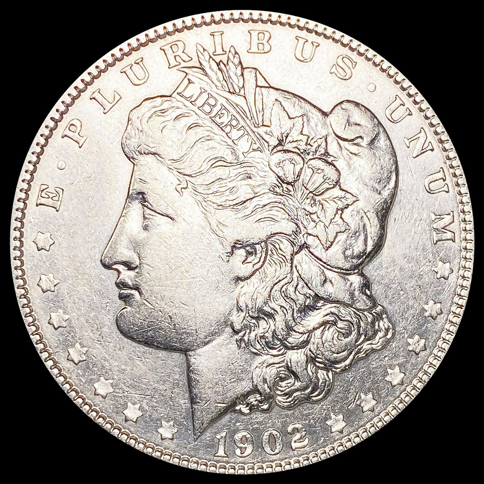 1902 Morgan Silver Dollar NEARLY UNCIRCULATED (1 of 2)