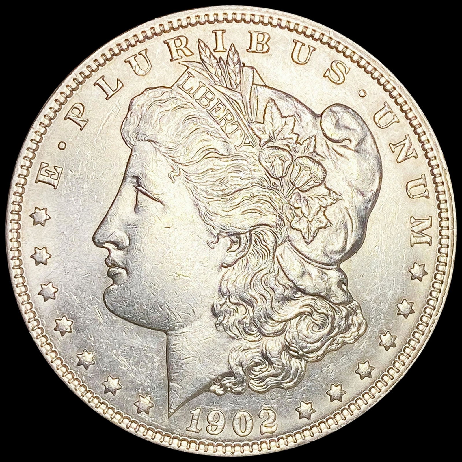 1902 Morgan Silver Dollar CLOSELY UNCIRCULATED (1 of 2)