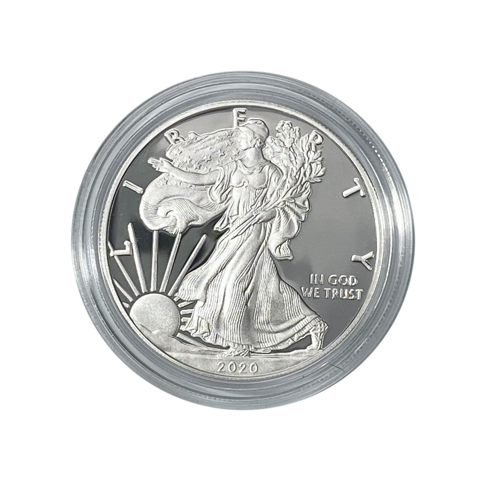 2020-W American 1oz Silver Eagle Proof (1 of 3)