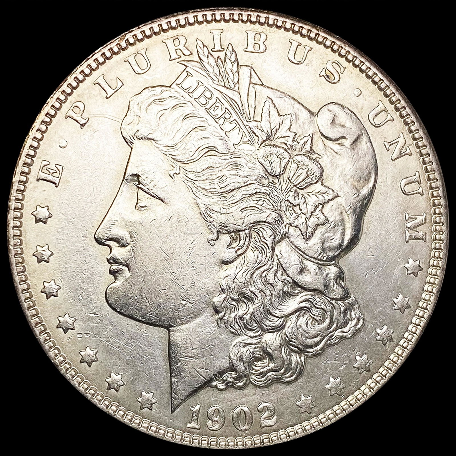 1902 Morgan Silver Dollar CLOSELY UNCIRCULATED (1 of 2)