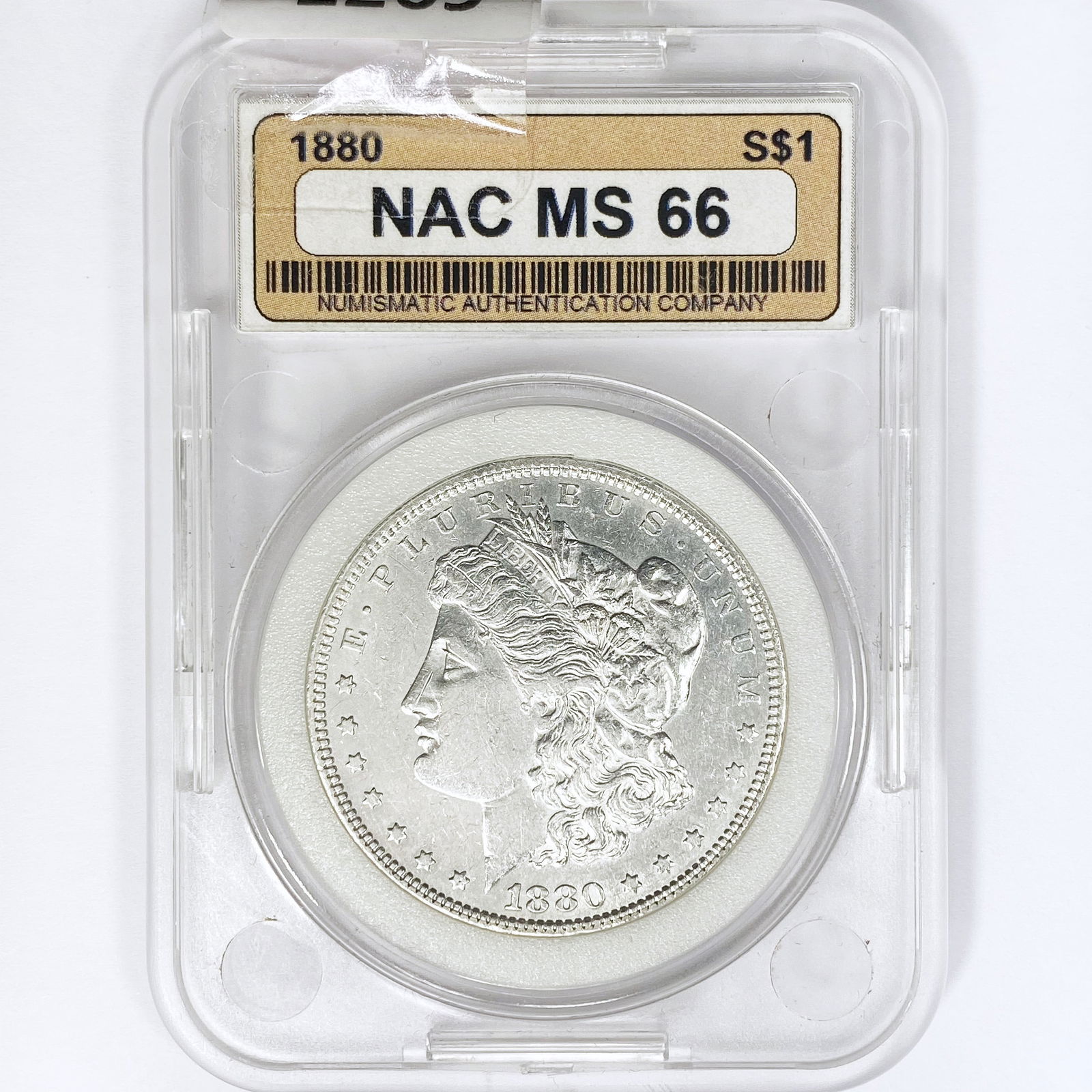 1880 Morgan Silver Dollar NAC MS66 (1 of 2)