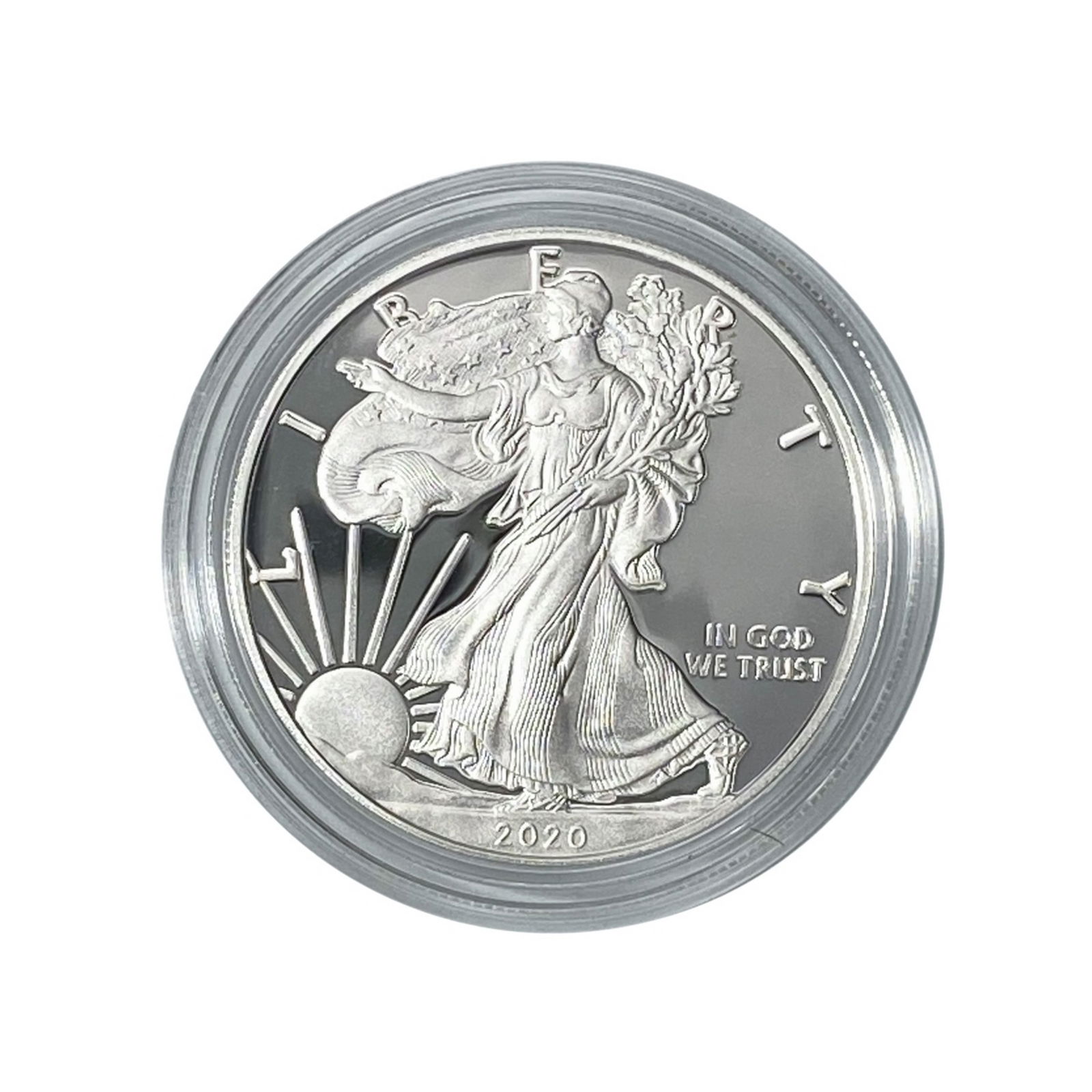 2020-W American 1oz Silver Eagle Proof (1 of 3)