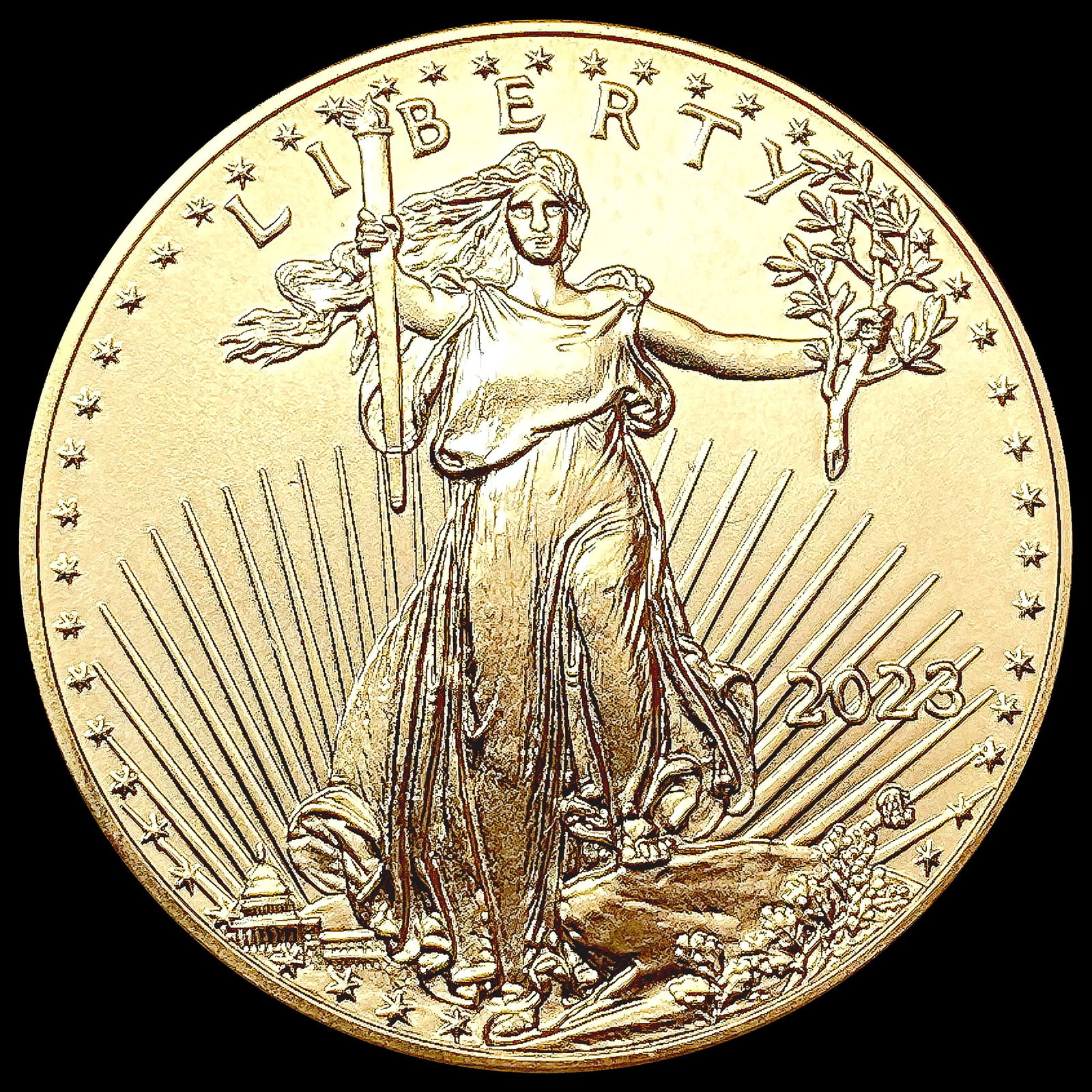 2023 US 1/2oz Gold US Eagle SUPERB GEM BU (1 of 2)