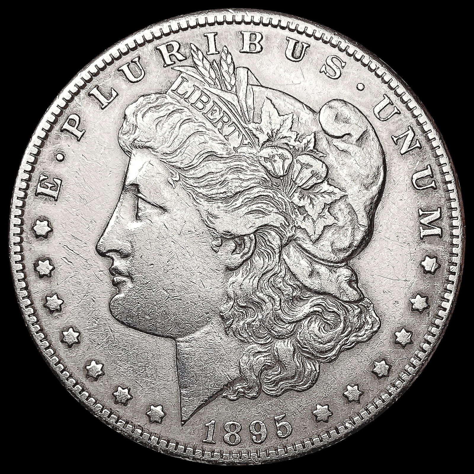 1895-S Morgan Silver Dollar LIGHTLY CIRCULATED (1 of 2)