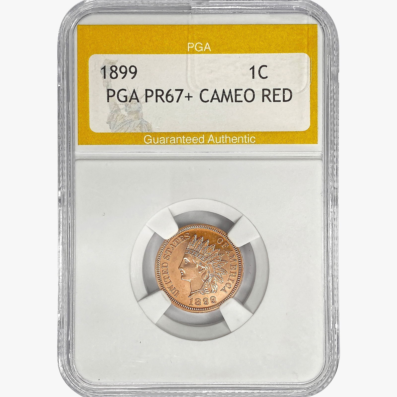 1899 Indian Head Cent PGA PR67+ Cameo RED (1 of 2)