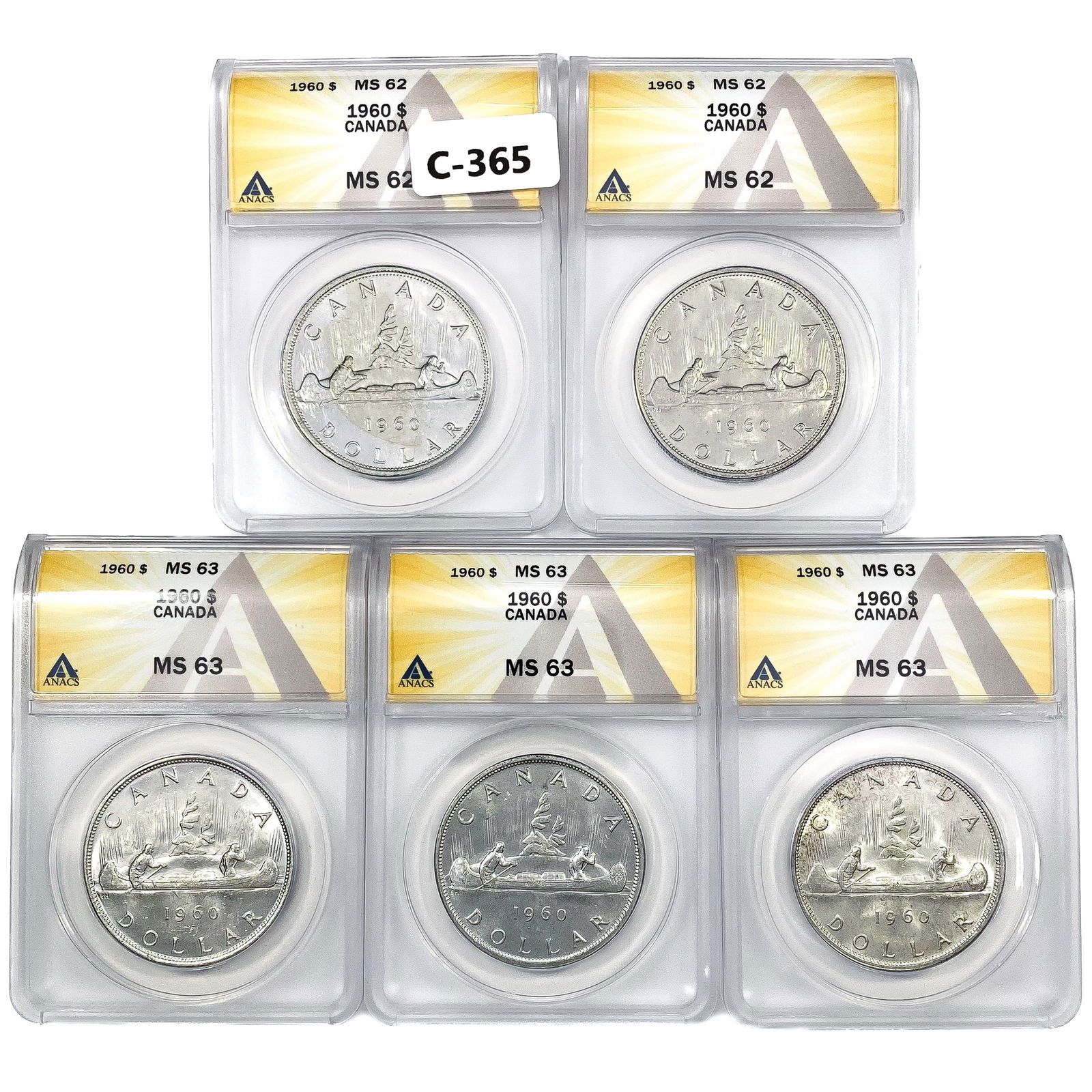 [5] 1960 Canada Silver Dollars ANACS MS62-63 (1 of 2)