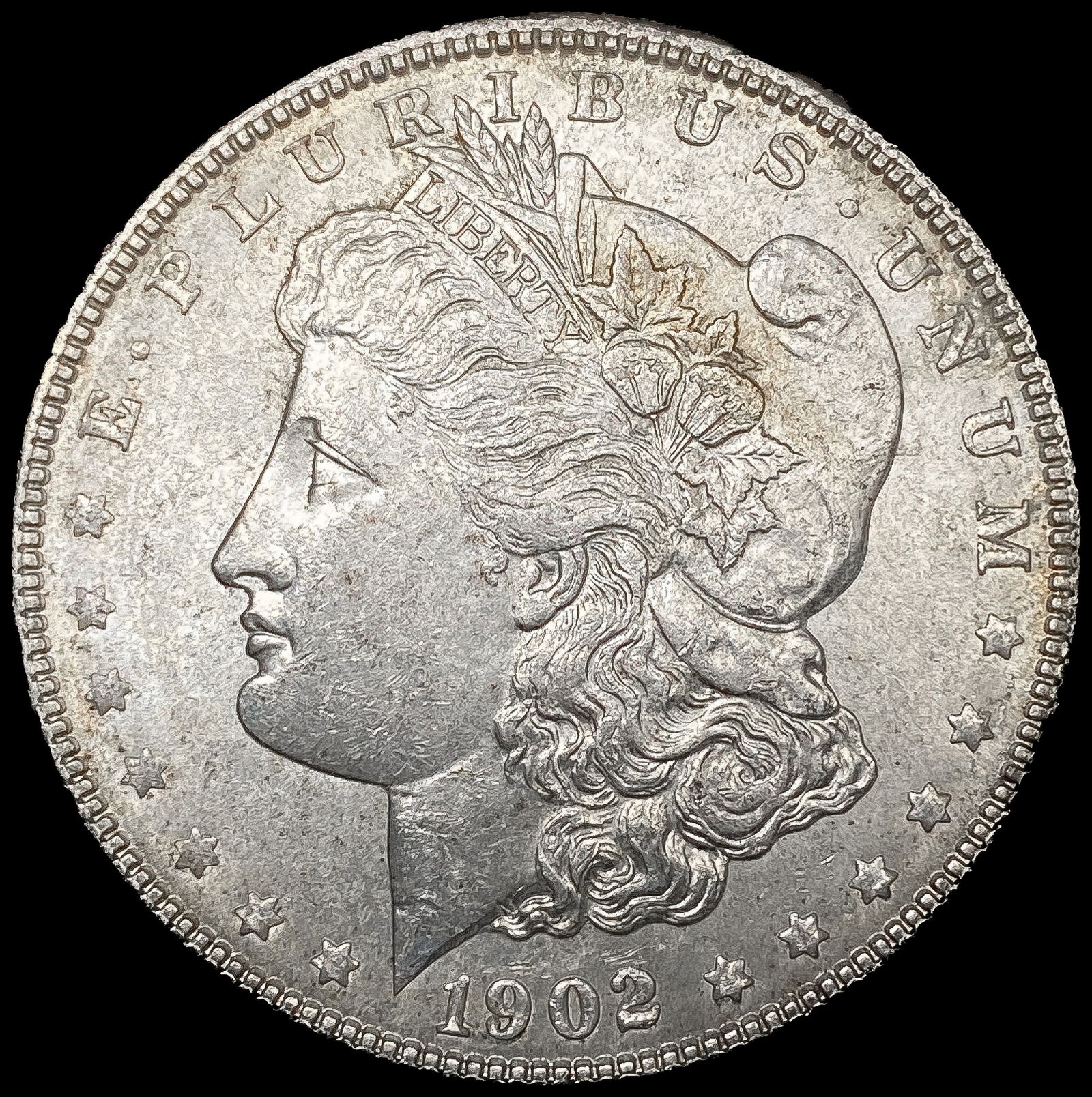 1902 Morgan Silver Dollar CLOSELY UNCIRCULATED (1 of 2)