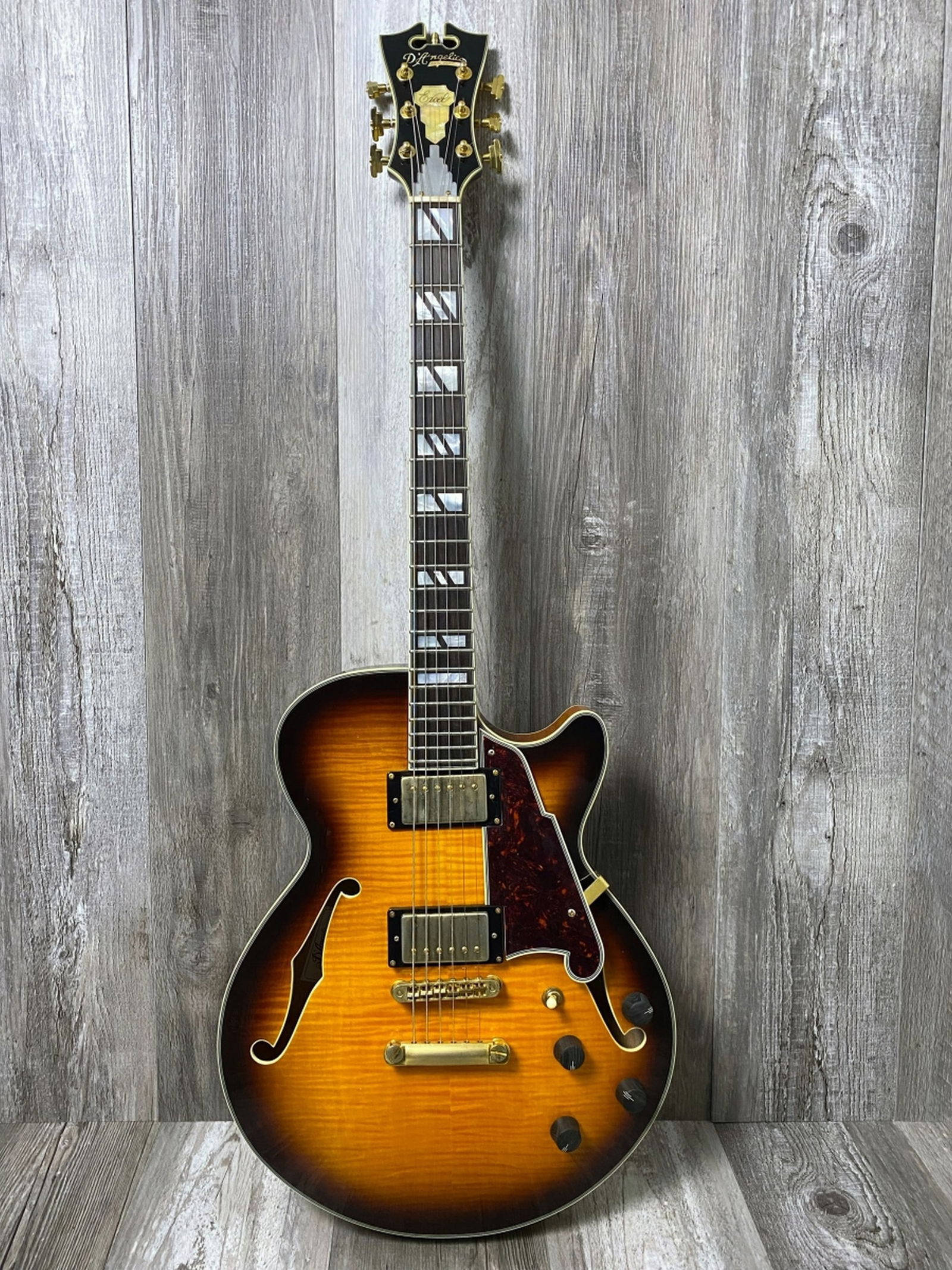 2010 D'Angelico Electric Guitar w/ Hard Case (1 of 13)