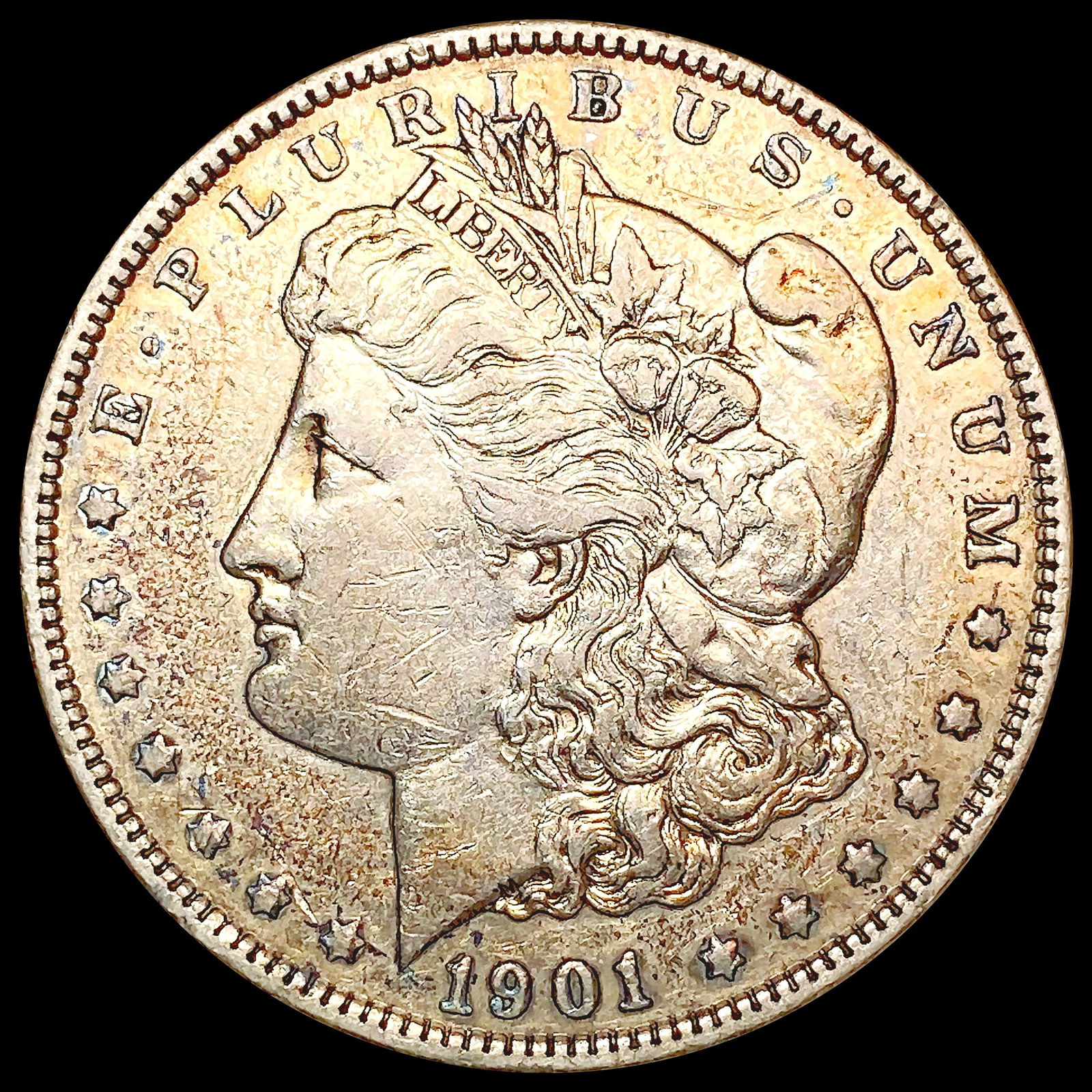 1901 Morgan Silver Dollar LIGHTLY CIRCULATED (1 of 2)