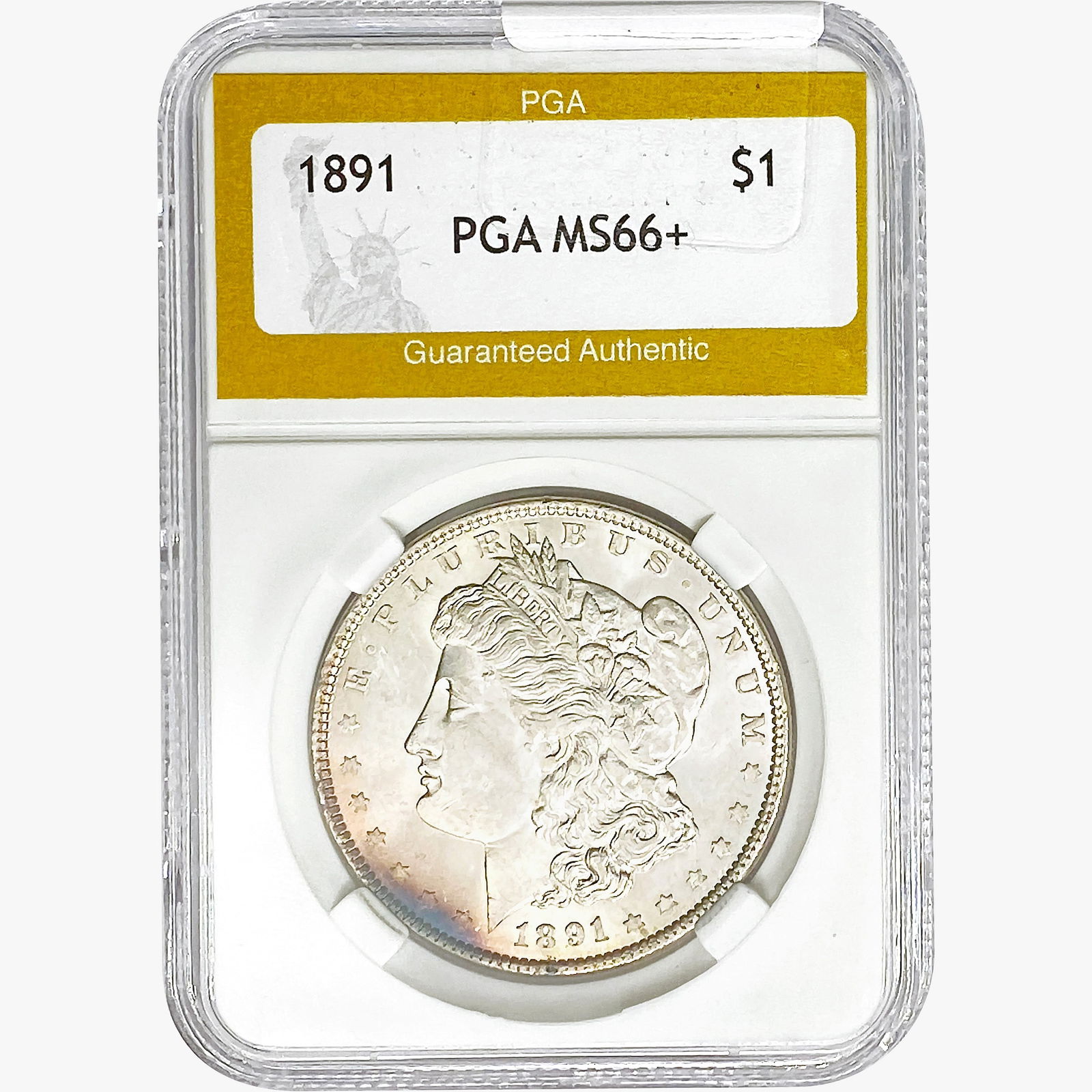 1891 Morgan Silver Dollar PGA MS66+ (1 of 2)