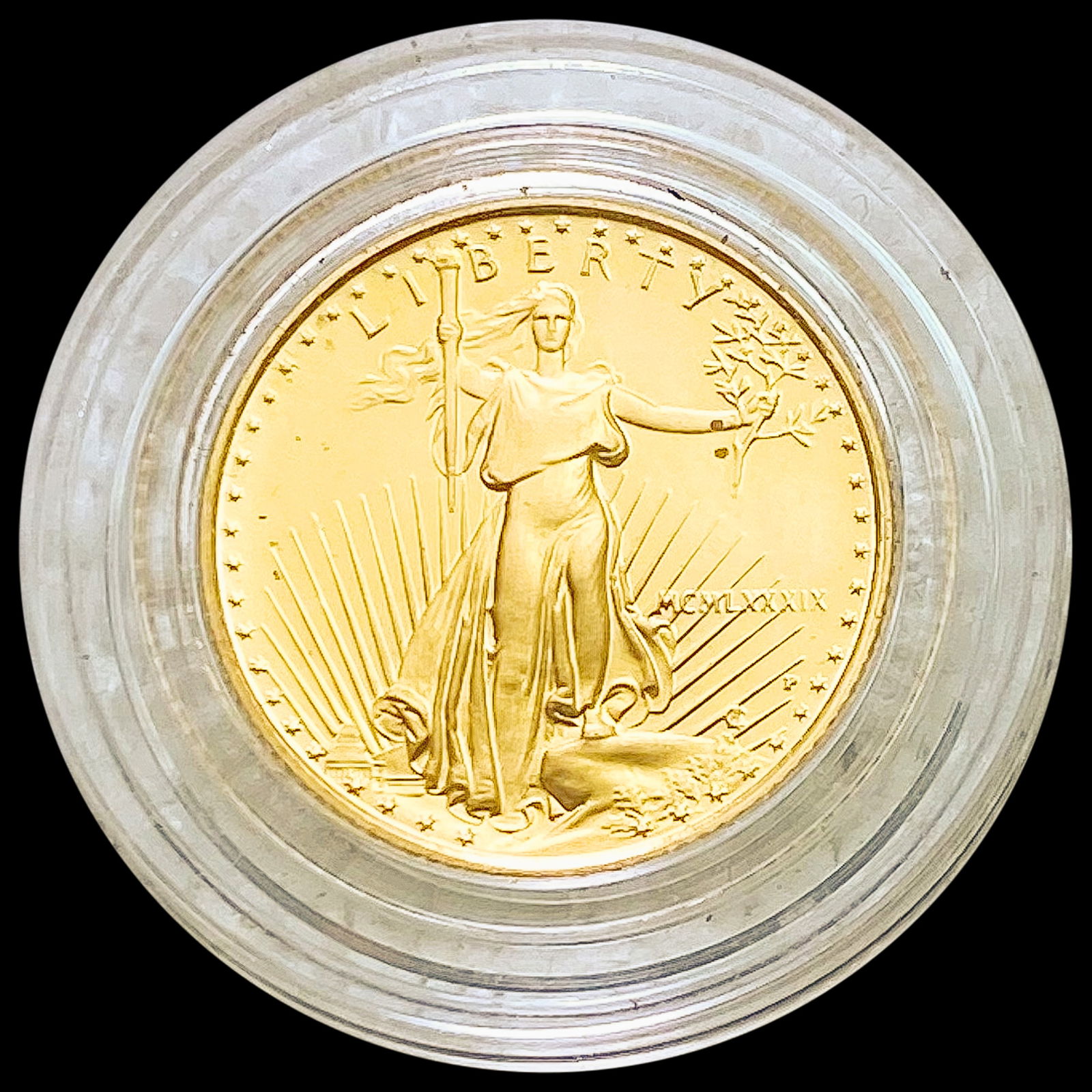 1989 US 1/10oz Gold Eagle GEM PROOF (1 of 2)