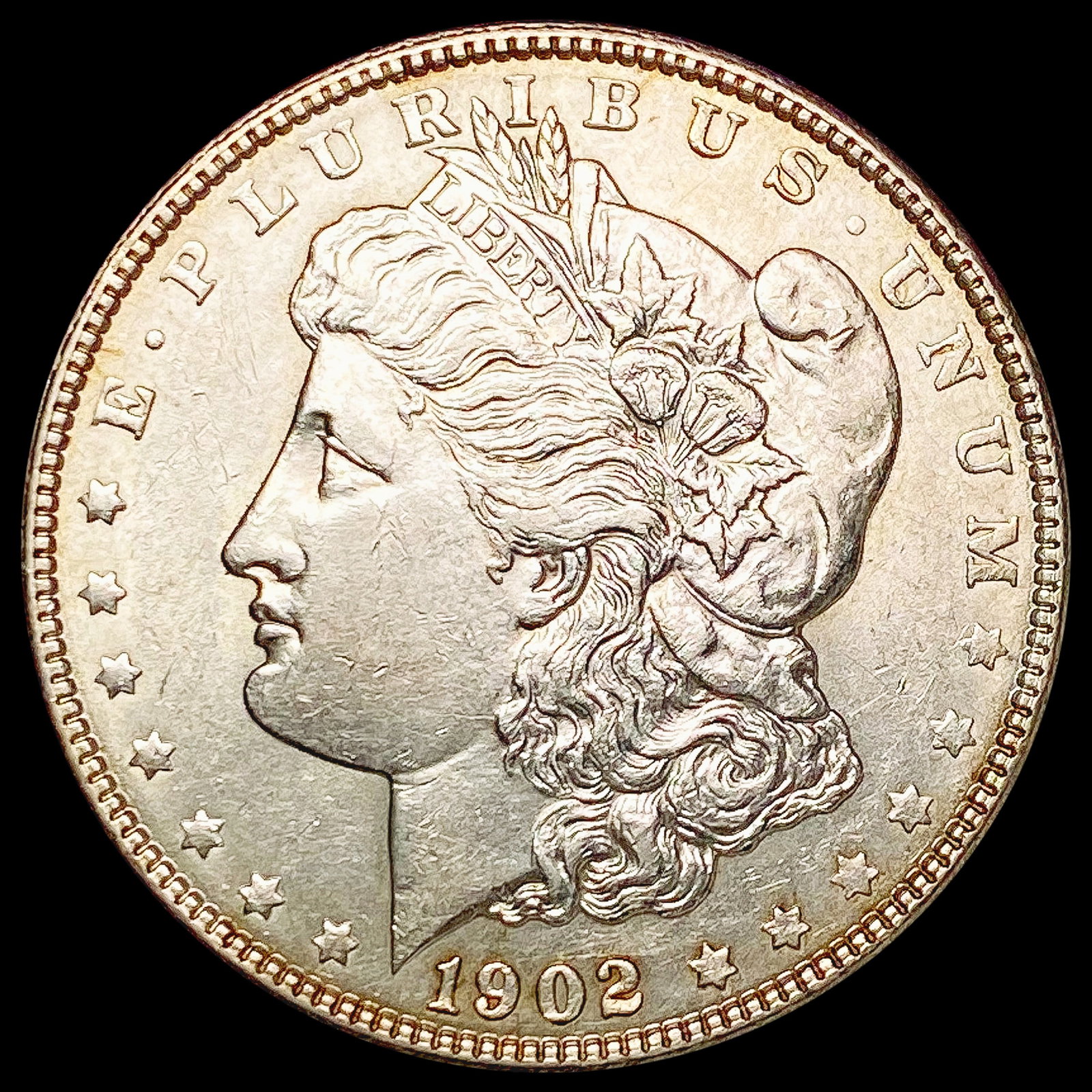 1902 Morgan Silver Dollar CLOSELY UNCIRCULATED: 1902 Morgan Silver Dollar CLOSELY UNCIRCULATED