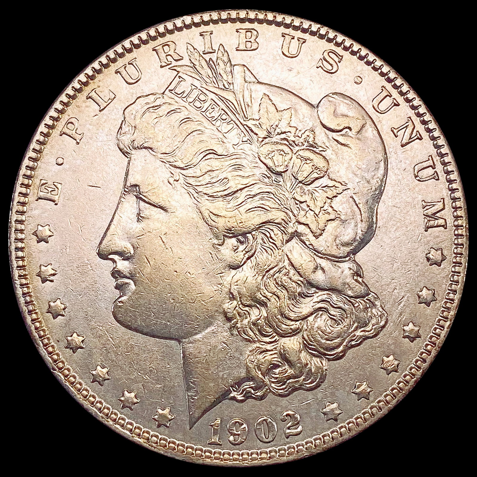 1902 Morgan Silver Dollar CLOSELY UNCIRCULATED: 1902 Morgan Silver Dollar CLOSELY UNCIRCULATED