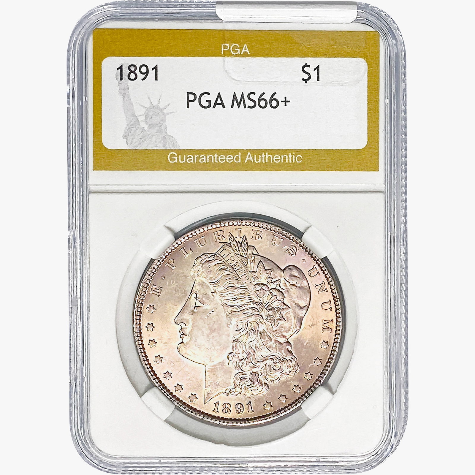 1891 Morgan Silver Dollar PGA MS66+ (1 of 2)