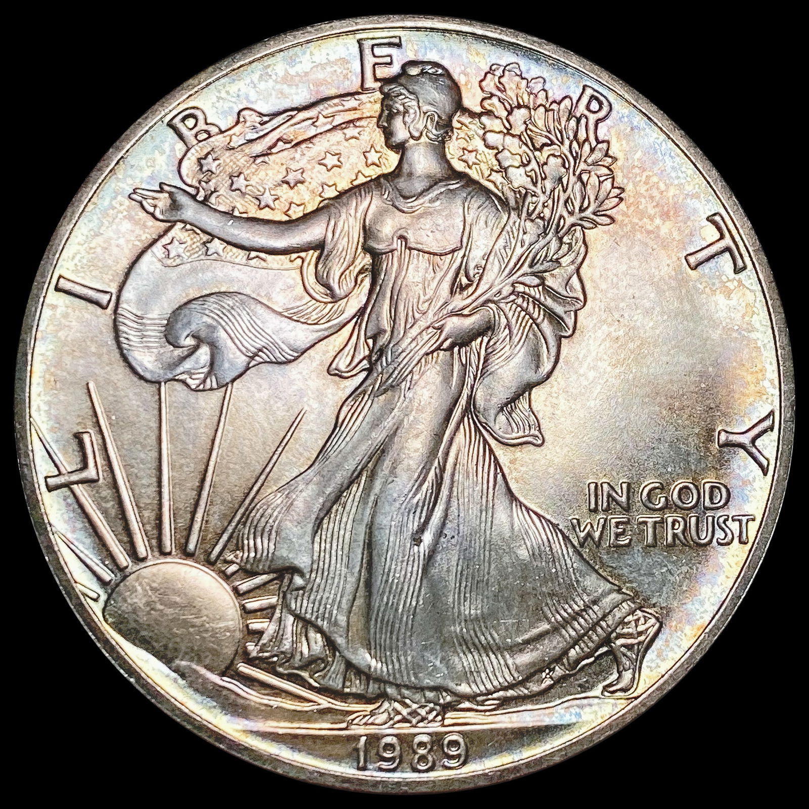 1989 American Silver Eagle SUPERB GEM BU (1 of 2)