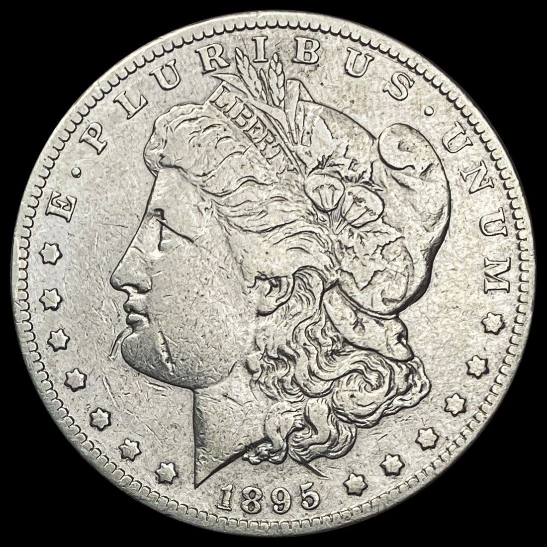 1895-S Morgan Silver Dollar LIGHTLY CIRCULATED (1 of 2)