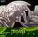 item-209709853=1