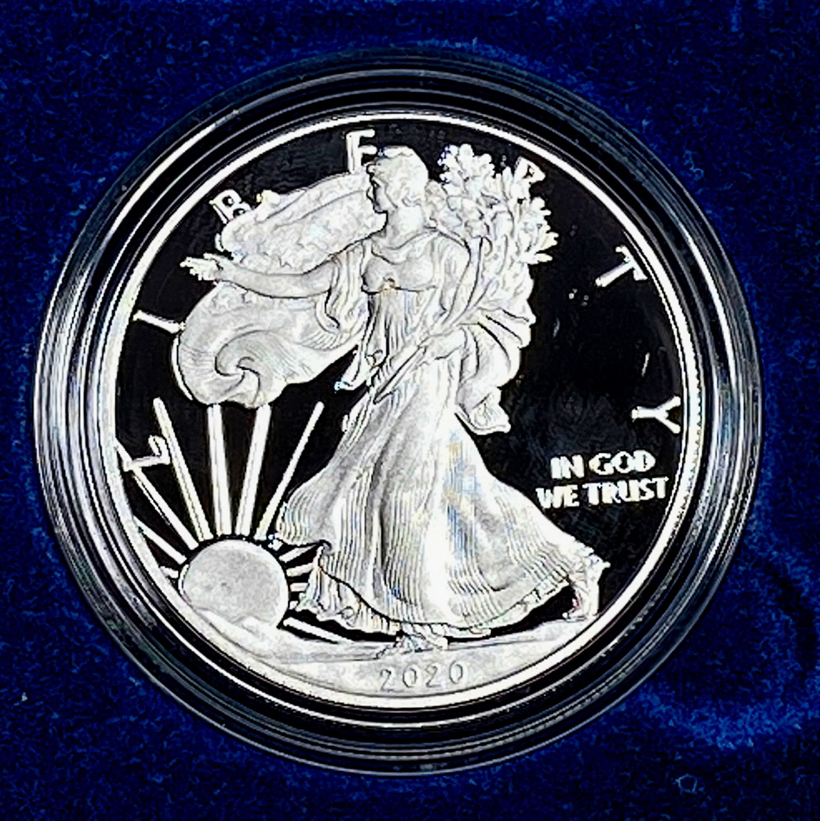 2020 Silver Eagle Proof: 2020 Silver Eagle Proof