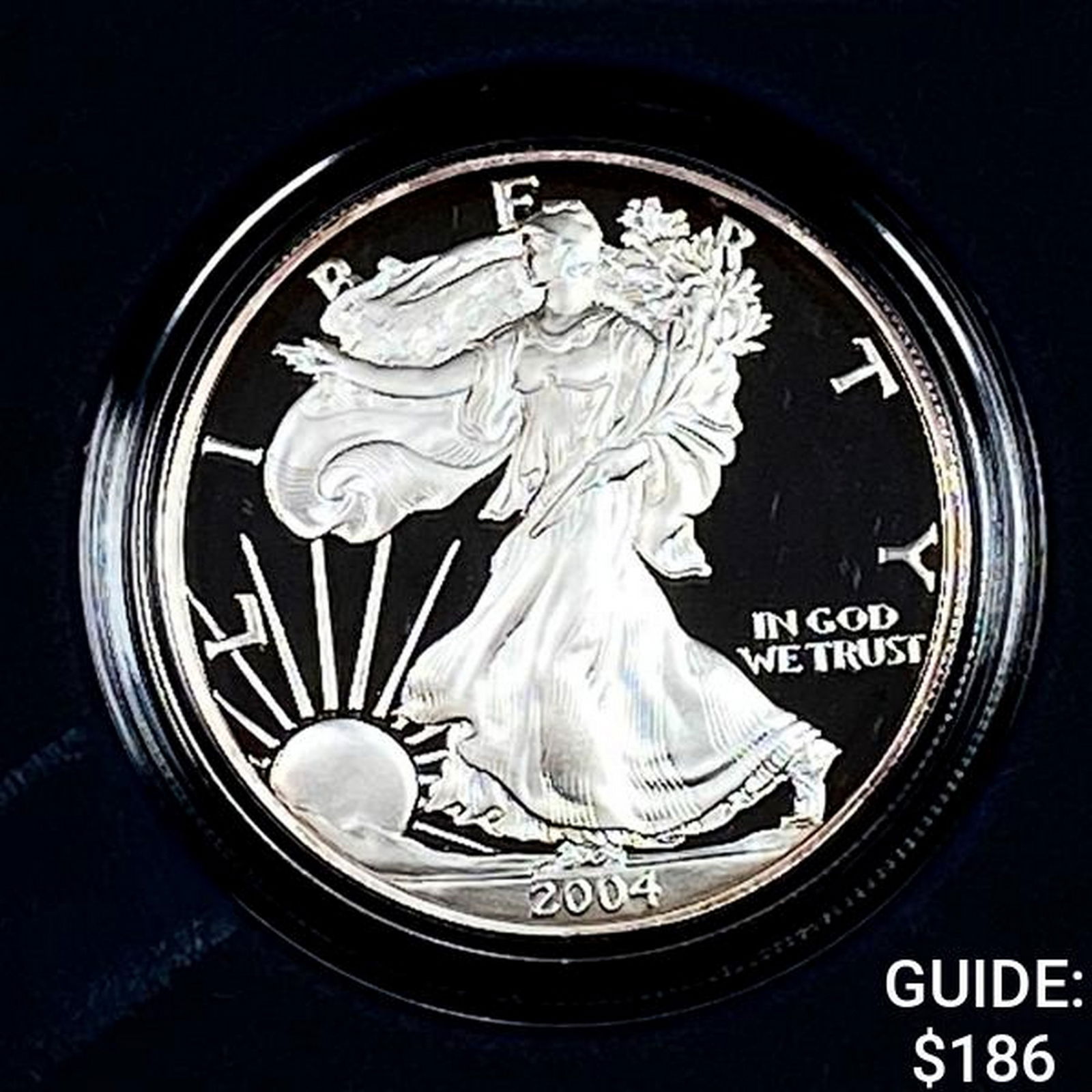 2004 Silver Eagle Proof (1 of 4)