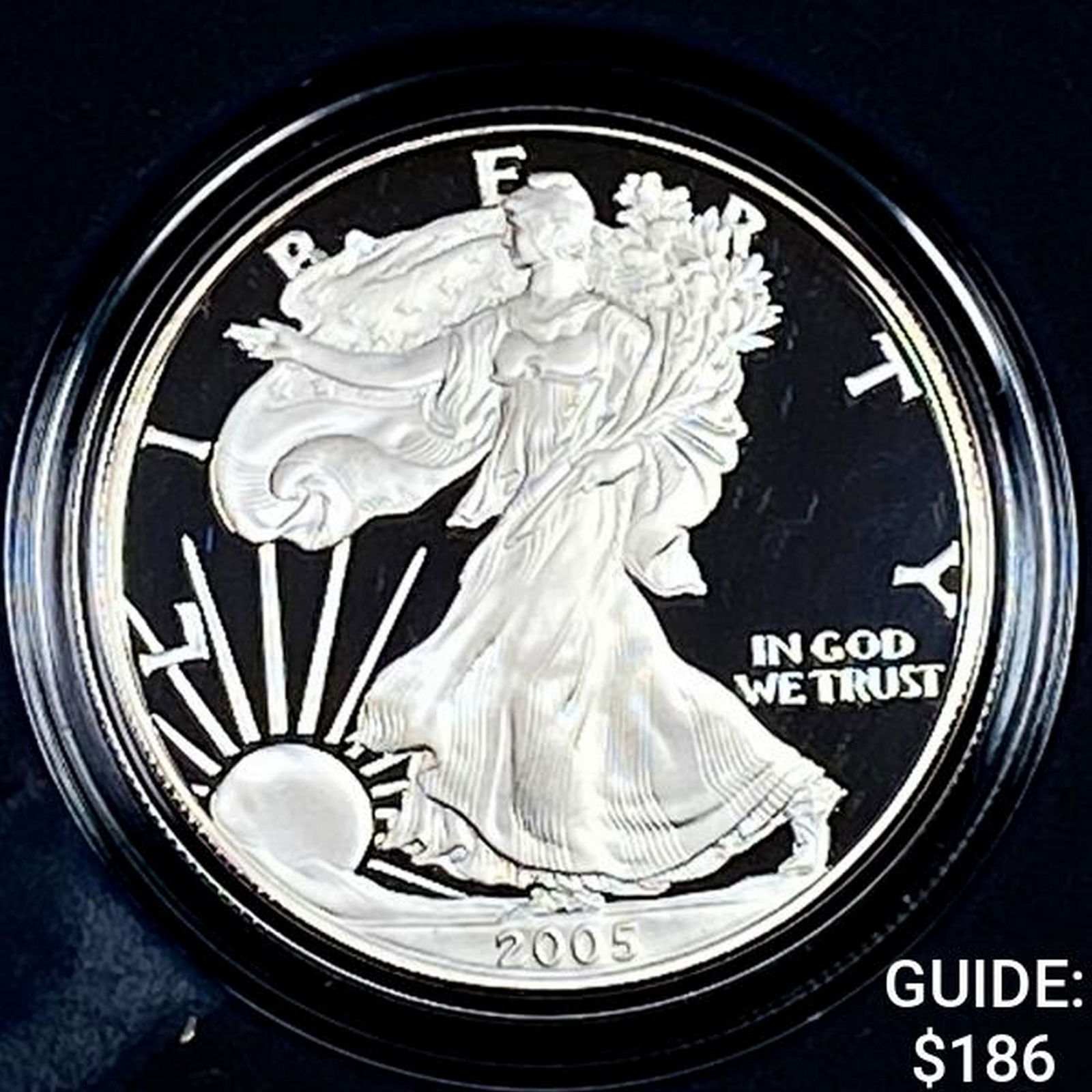 2005-W Silver Eagle Proof (1 of 4)