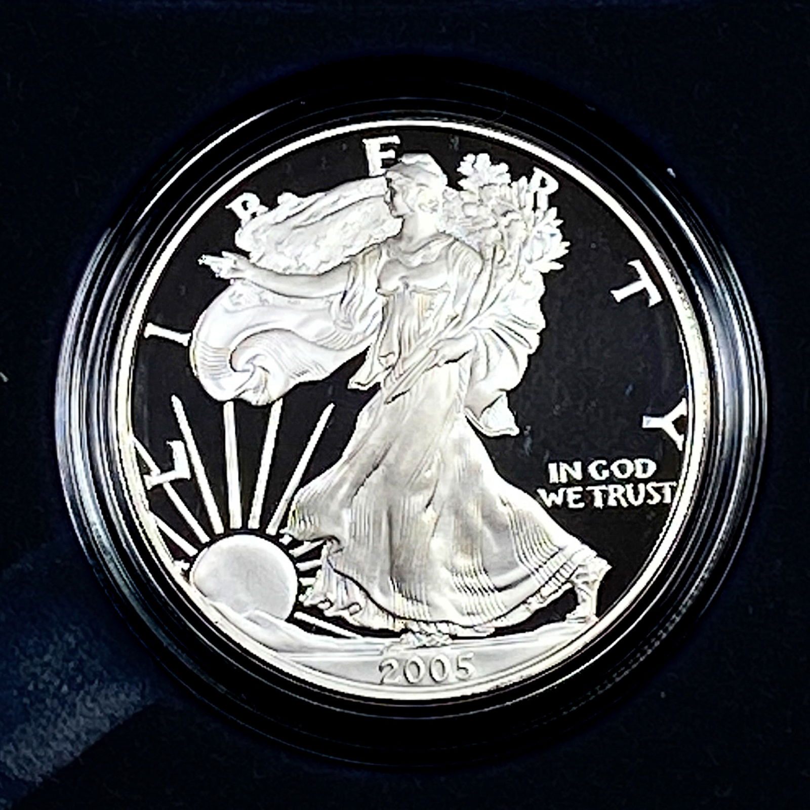 2005-W Silver Eagle Proof (1 of 4)