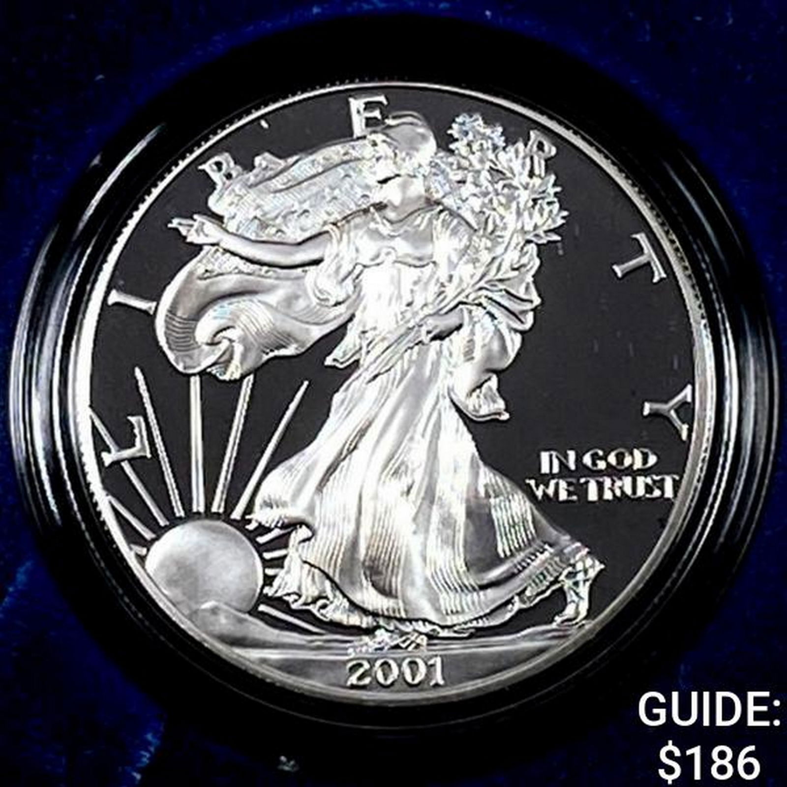 2001 Silver Eagle Proof (1 of 4)