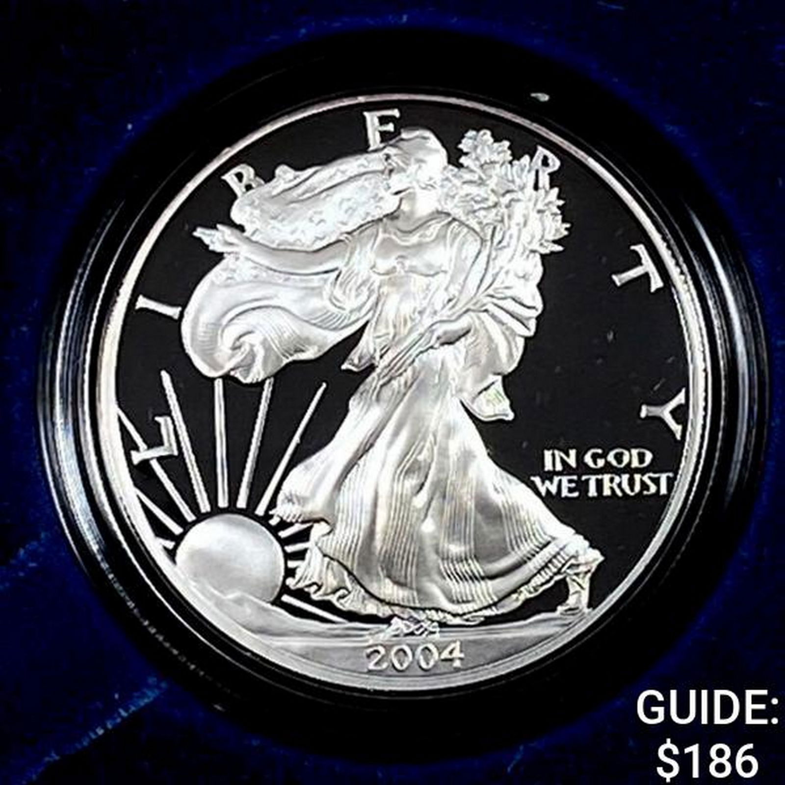 2004 Silver Eagle Proof (1 of 4)