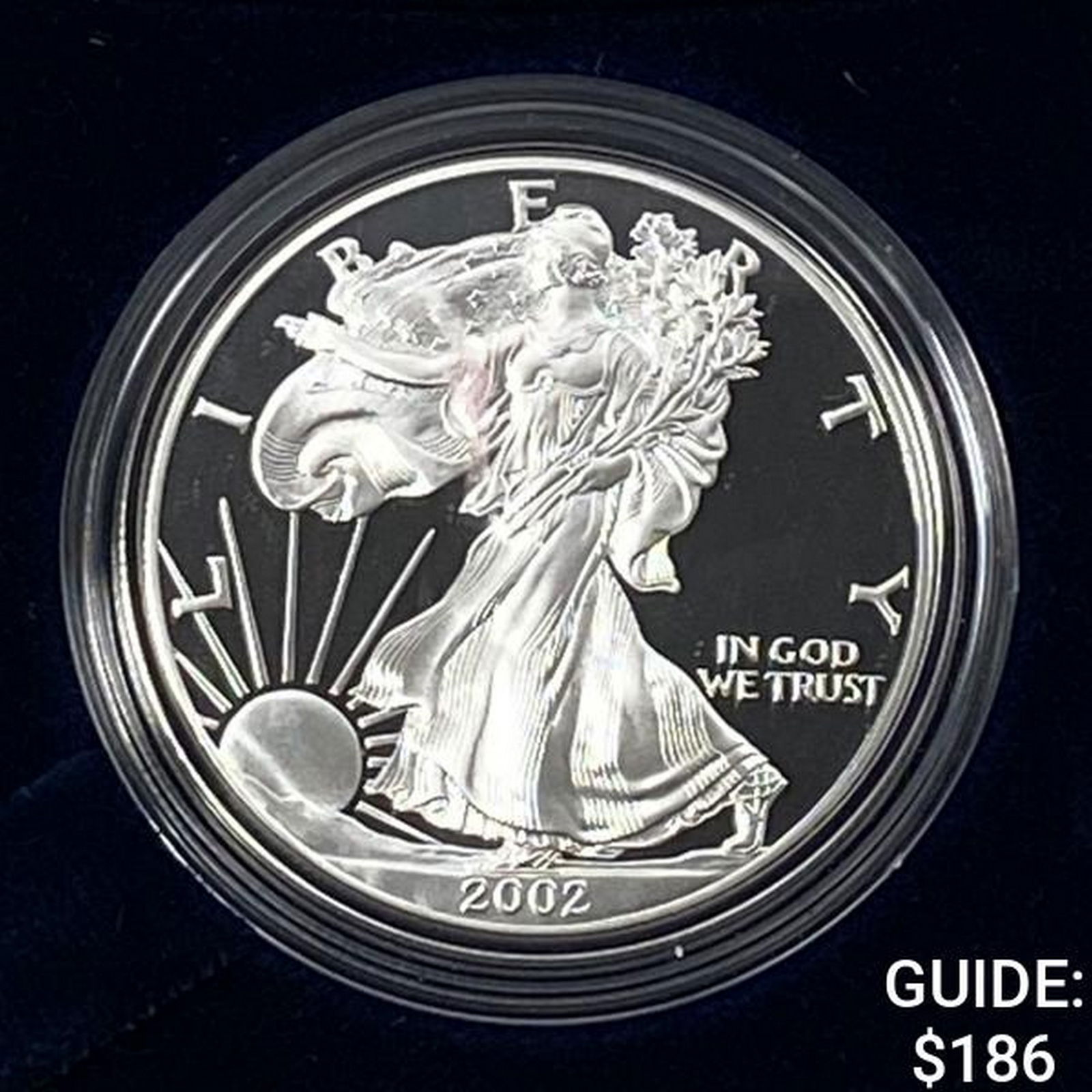 2002-W Silver Eagle Proof (1 of 4)