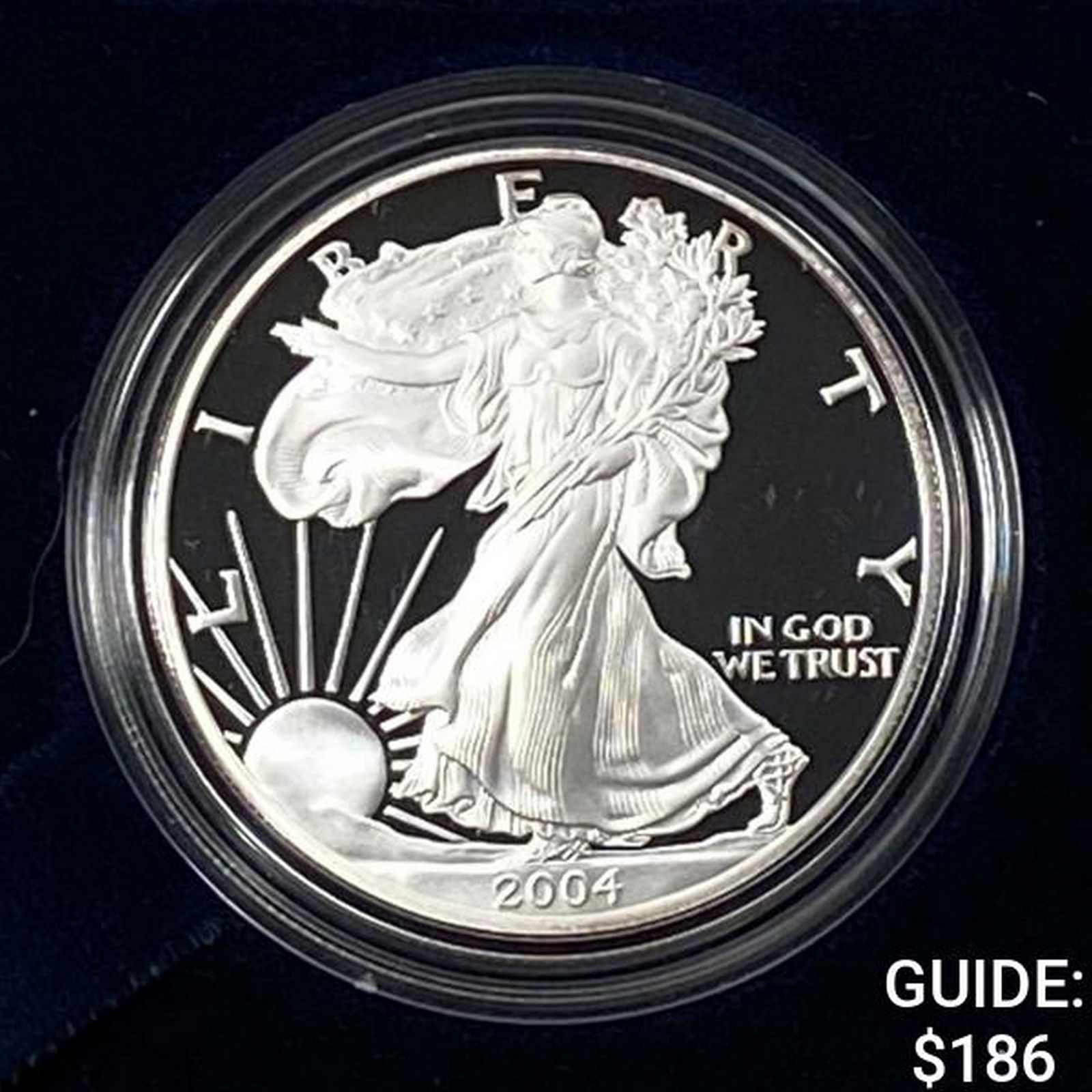2004-W Silver Eagle Proof (1 of 4)