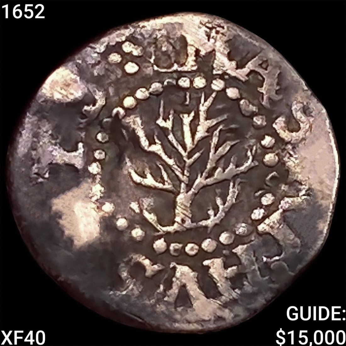 1652 Oak Tree Three Pence NEARLY UNCIRCULATED (1 of 2)