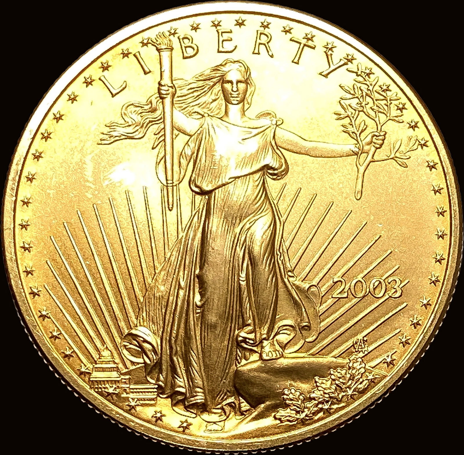 2003 1oz Gold American Eagle $50 SUPERB GEM BU (1 of 2)