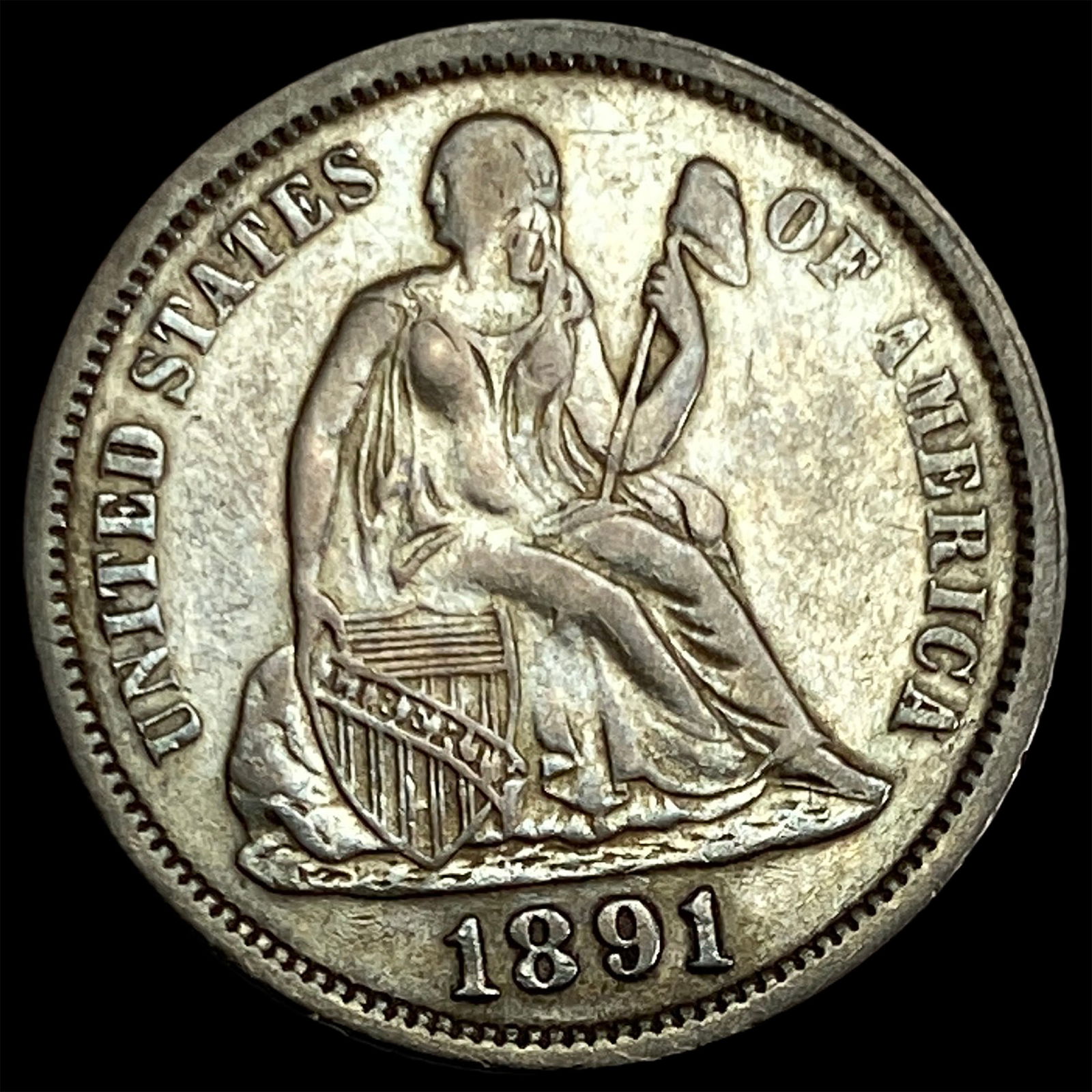 1891 Seated Liberty Dime NEARLY UNCIRCULATED (1 of 2)