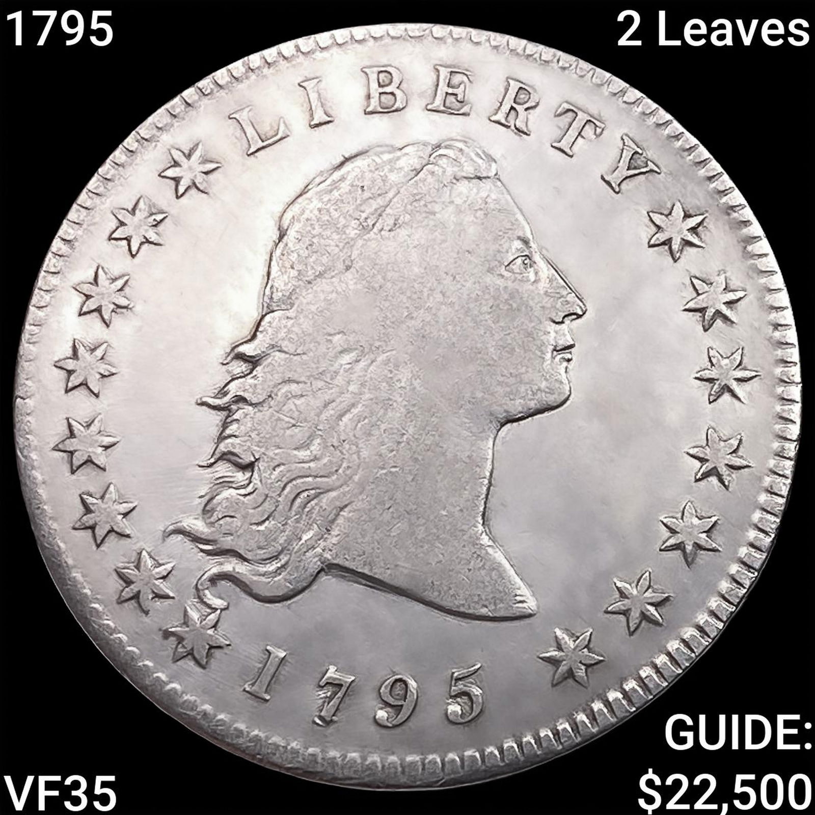 1795 2 Leaves Flowing Hair Dollar ABOUT UNCIRCULATED (1 of 2)