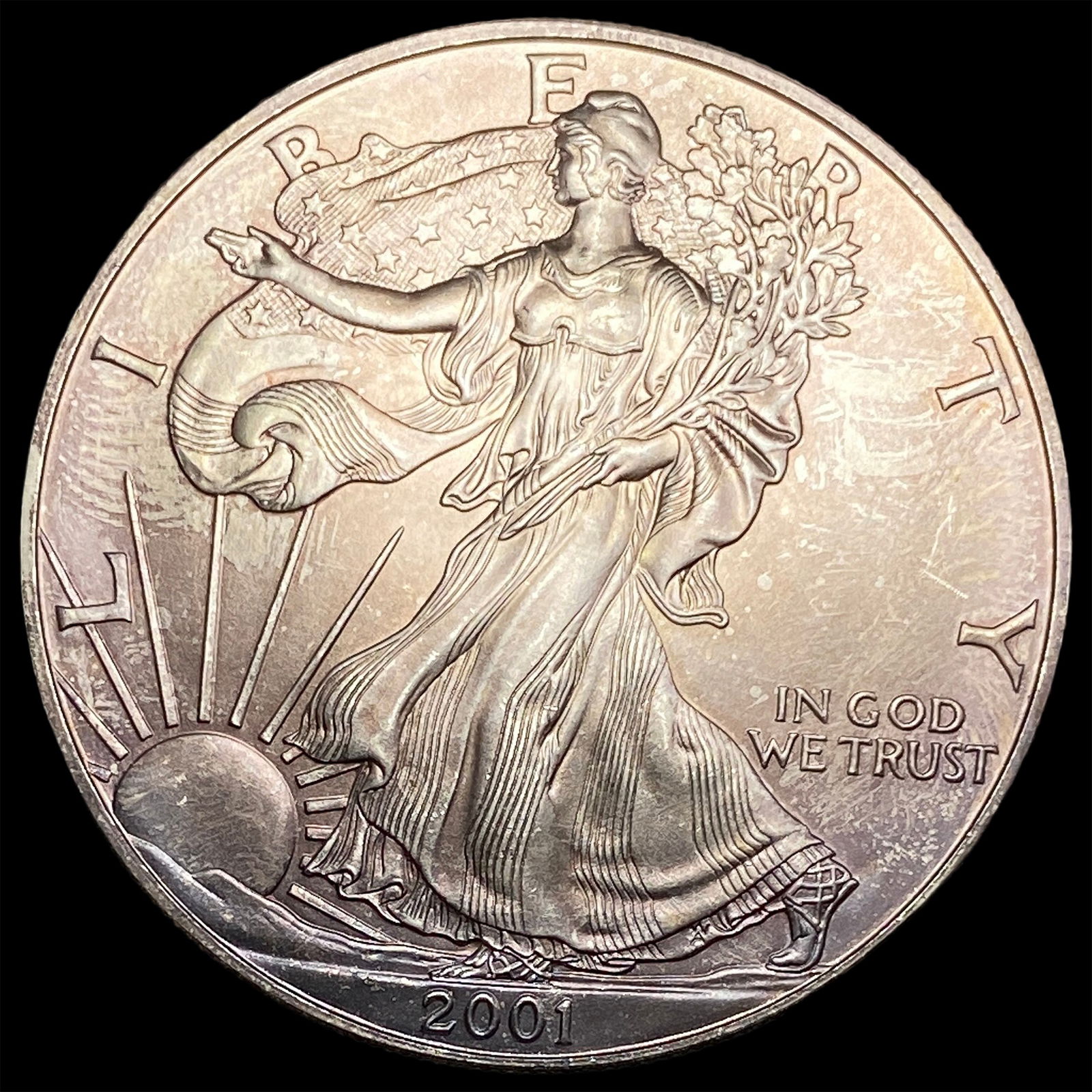 2001 1oz Silver American Eagle $1 SUPERB GEM BU (1 of 2)