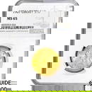 1907 $10 Gold Eagle NGC MS65