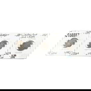 [3] Indian Head Cents 1861,1906,1959: [3] Indian Head Cents