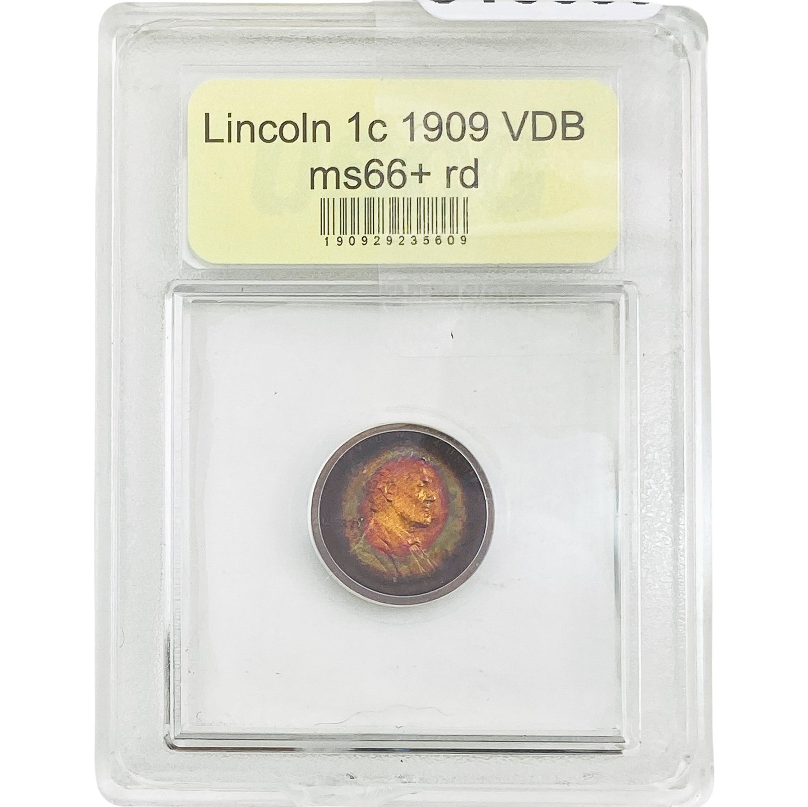 1909 Wheat Cent USCG MS66+ RD: 1909 Wheat Cent USCG MS66+ RD