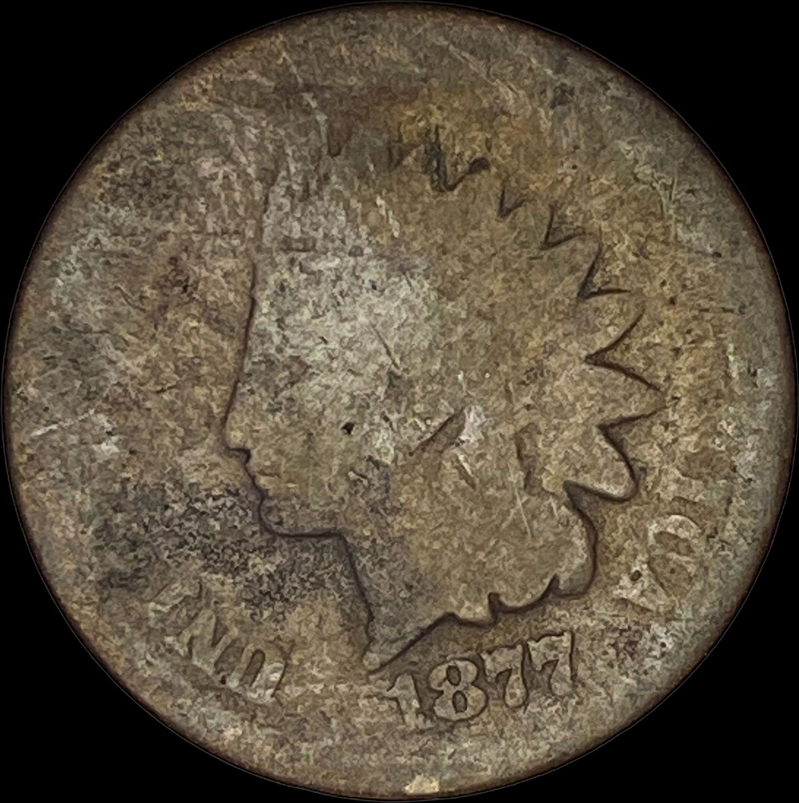 1877 Indian Head Cent NICELY CIRCULATED (1 of 2)