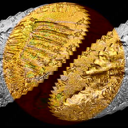 1911 Indian Head Gold Half Eagle $5 CLOSELY UNCIRCULATED