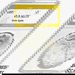 1991 American Silver Eagle PGA MS70: 1991 American Silver Eagle PGA MS70