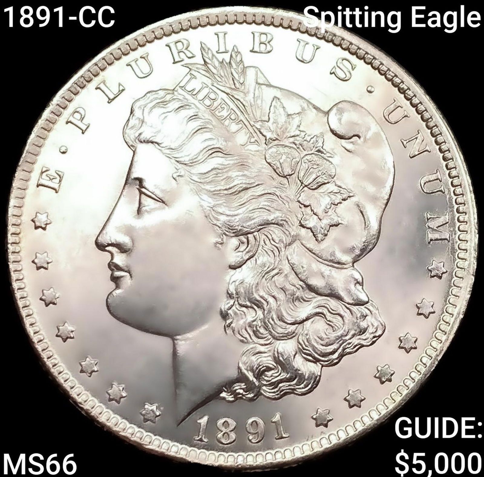 1891-CC Spitting Eagle Morgan Silver Dollar GEM BU (1 of 2)
