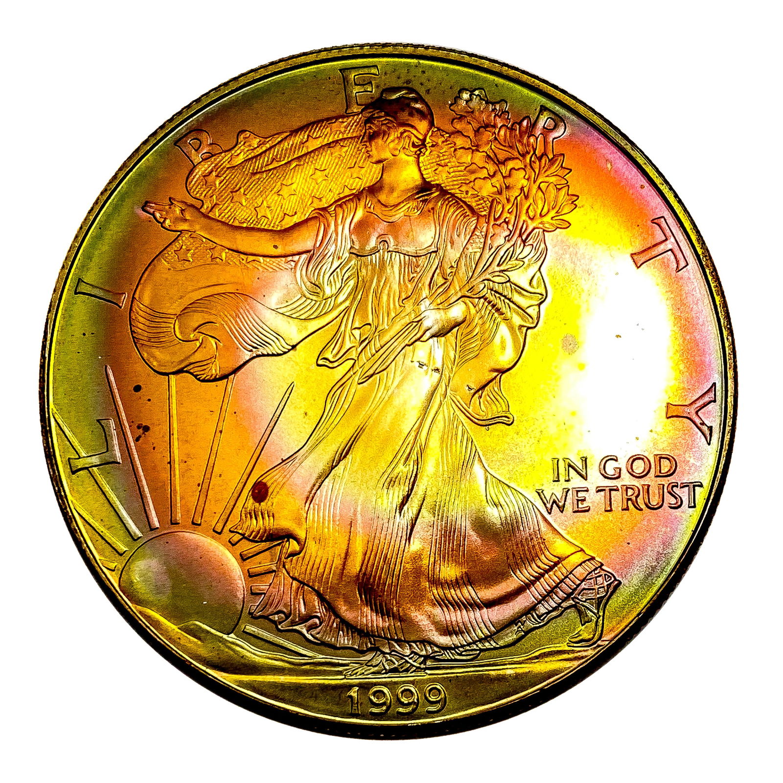 1999 Silver Eagle Toned (1 of 2)