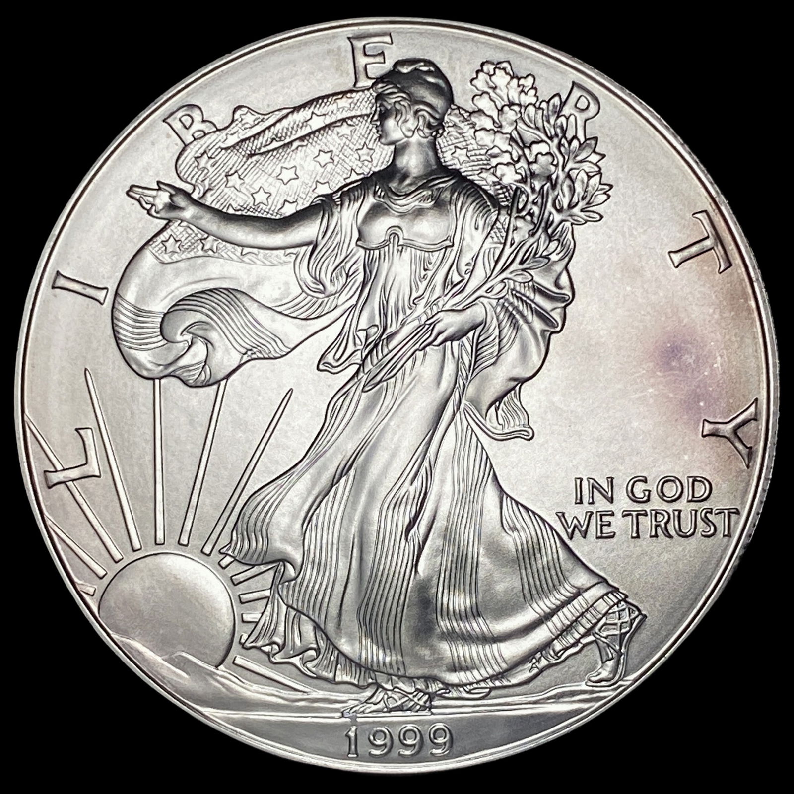 1999 Silver American Eagle $1 SUPERB GEM BU (1 of 2)